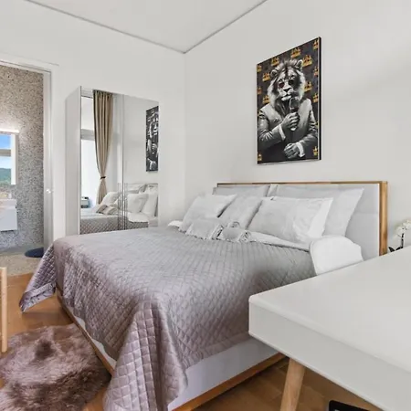 Business Penthouse Near Main Station Apartment Zürich